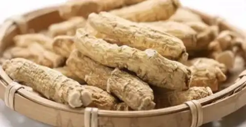 Benefits of American Ginseng Extract Powder